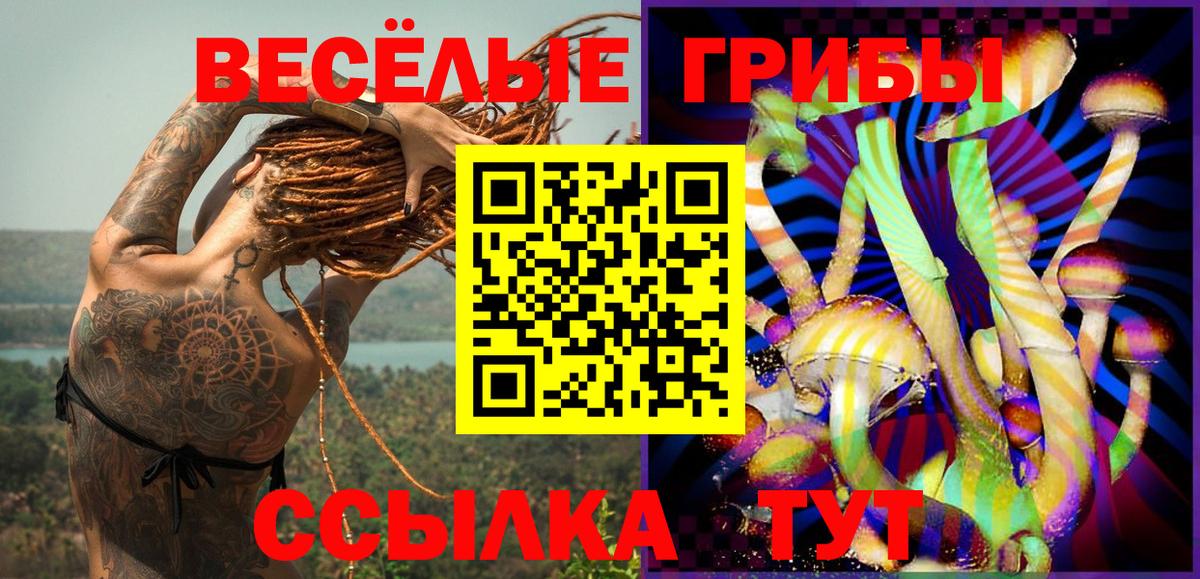 Псилоцибиновые грибы Magic Shrooms Находка